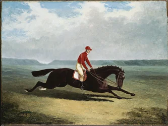 The Baron with Bumpy Up, at Newmarket