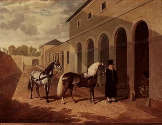 The Duchess
