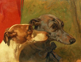 The Greyhounds 