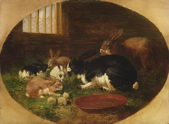 The Rabbit Hutch