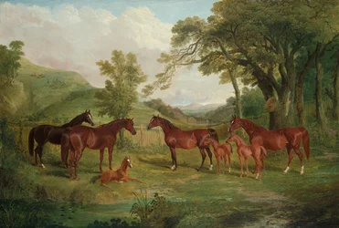The Streatlam Stud, Mares and Foals