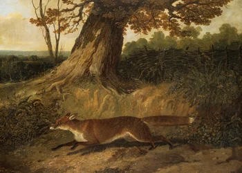 Unknown Image
