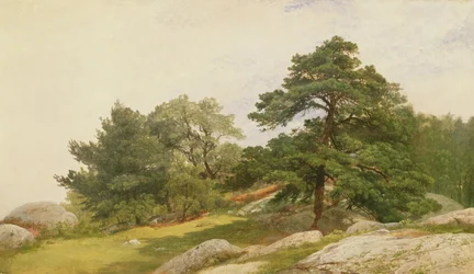 Study for Trees on Beverly Coast