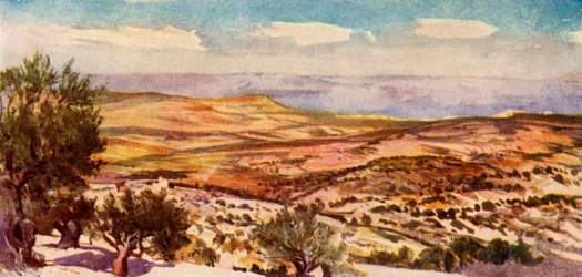 The Fields of Ruth and Boaz Near Bethlehem, 1902