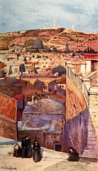 The Mount of Olives from a House-Top on Mount Zion