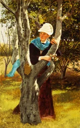 Among the Trees