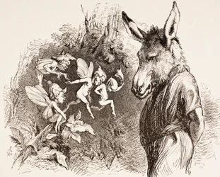 Illustration for A Midsummer Night
