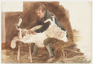 Shearing sheep, 1808