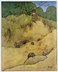 The Rabbit