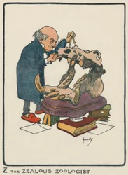Z the Zealous Zoologist, Drawing, 1903