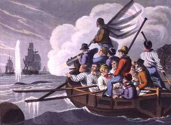 Shooting the Harpoon at a Whale