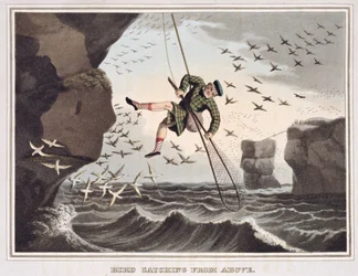 Bird Catching from Above, Engraved by Matthew Dubourg, Published by Edward Orme, 1813