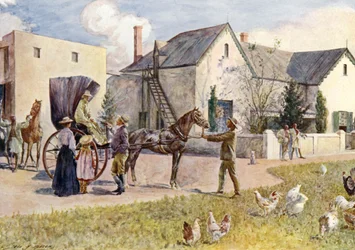 A South African Farm