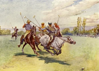 Polo in South Africa