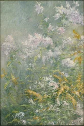 Meadow Flowers (Golden Rod and Wild Aster), c.1892