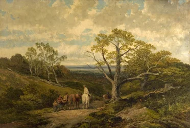 View in Sherwood Forest, Nottinghamshire