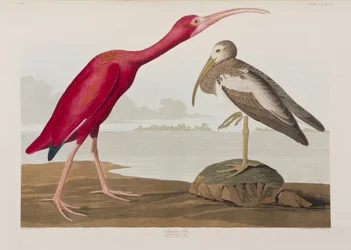 Illustration from 
