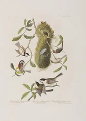 Illustration from 