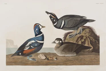 Illustration from 