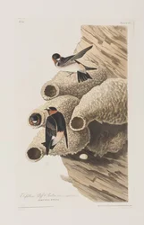 Illustration from 