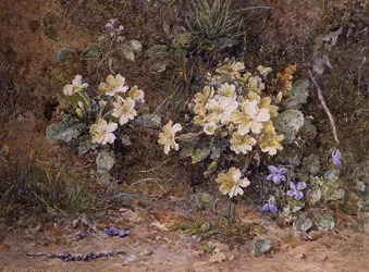 Primroses and Violets on a Mossy Bank