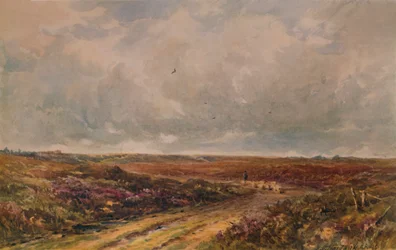 Stormy Day on a Surrey Common