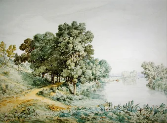 Postwick Grove on the River Yare