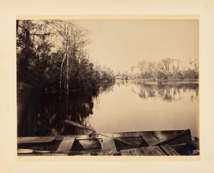 Silver Springs, Florida, Looking Upstream