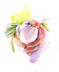 Dove of Peace, 2016