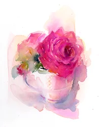 Rose in Teacup