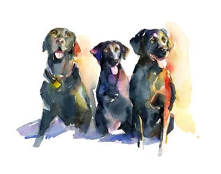 Three Black Labs, 2015
