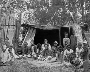 Locals in Queensland, Australia