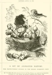 A Bit of Animated Nature, The Protectionist Cuckoo in the Hedge Sparrow