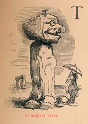 An original Druid
