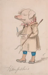 Caricature of the County Hampshire