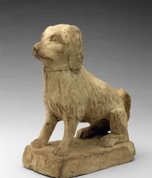 Spaniel