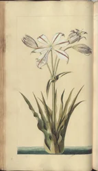 A page from the 