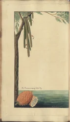 A page from the 
