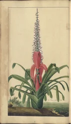 A page from the 