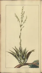 A page from the 