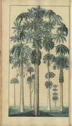 A page from the 