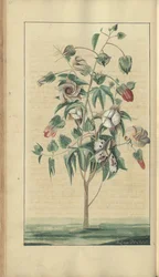 A page from the 
