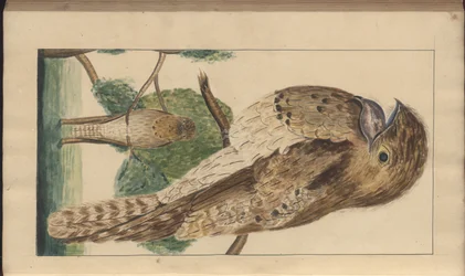 A page from the 