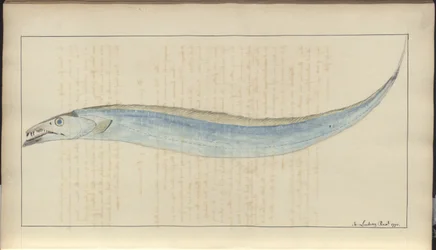 Lindsay Drawings Vol. VII, 9