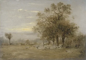 Sheep Grazing