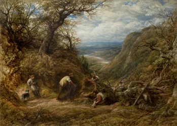 The Hollow Tree