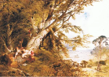 The Birds Nest, from Magazine or Book Source Unknown
