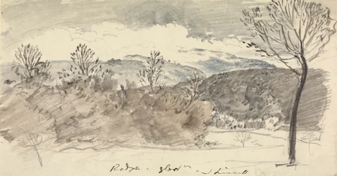View at Mr. Sheppard