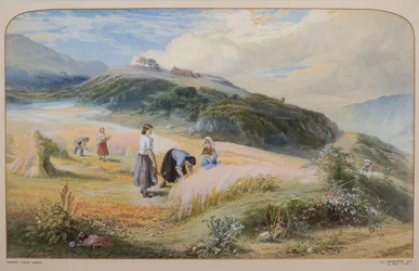 Harvest Field, Arran