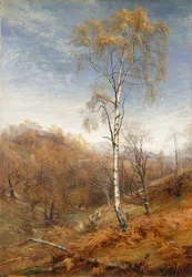 The Lady Of The Woods